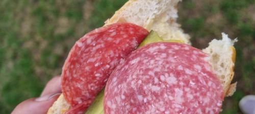 PHOTO-2022-09-17-12-38-57-2