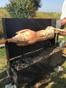 Saugrillen 2016